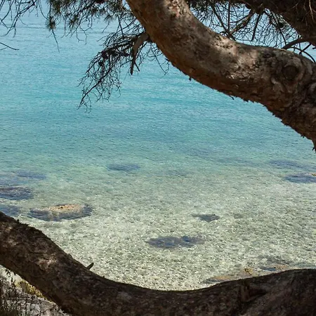 Villa Navisus Trogir